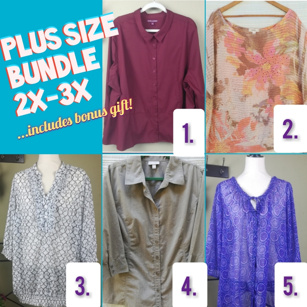 2x-3x Plus Size Tops Bundle